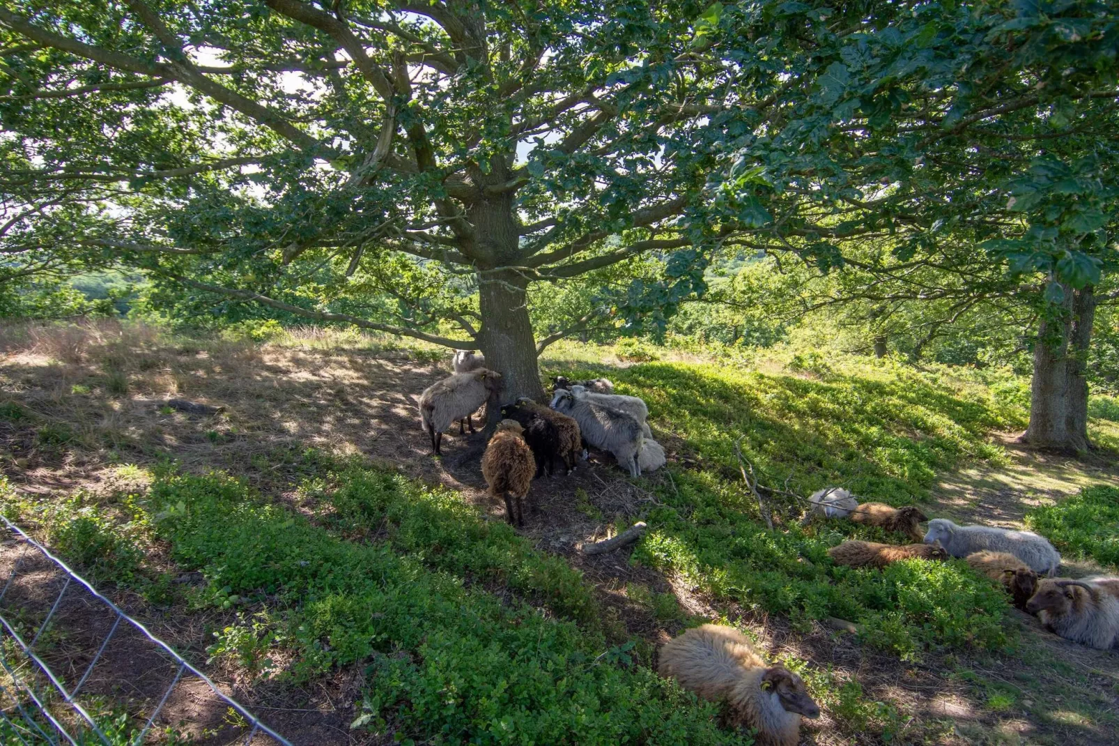 8 person holiday home in Gjern-By Traum-Untagged