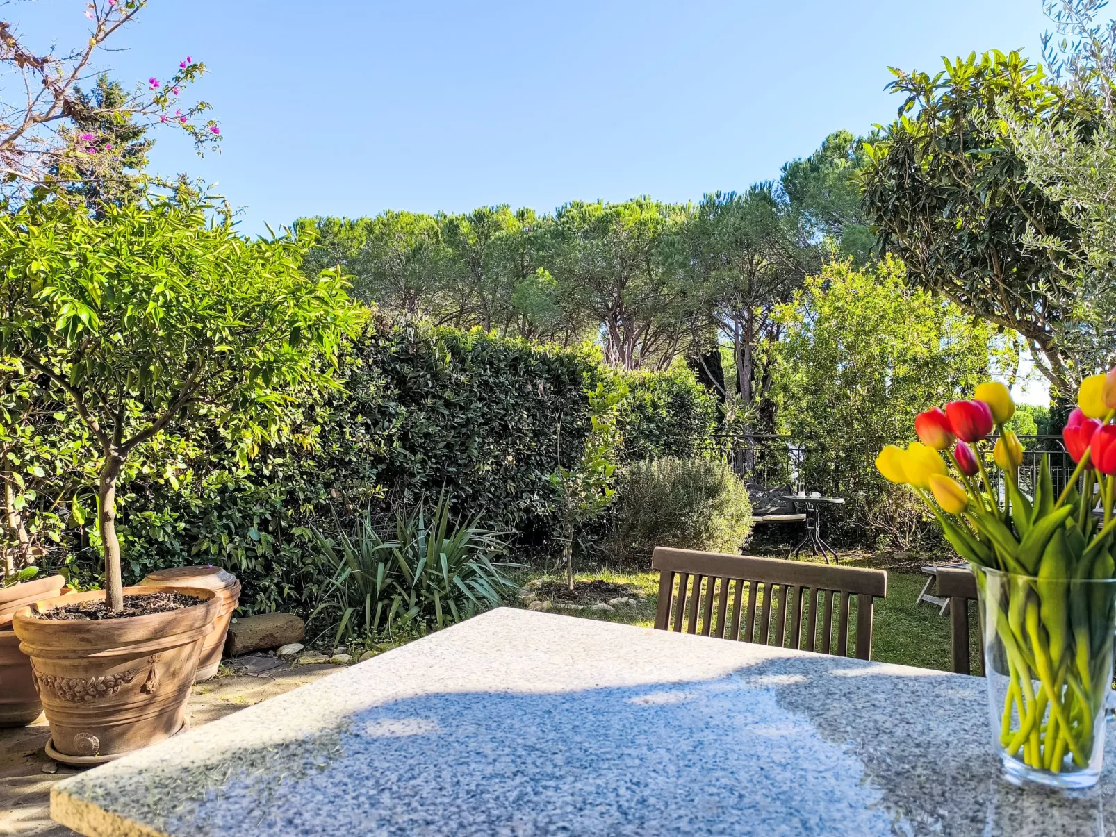 Steffi's House-Dehors