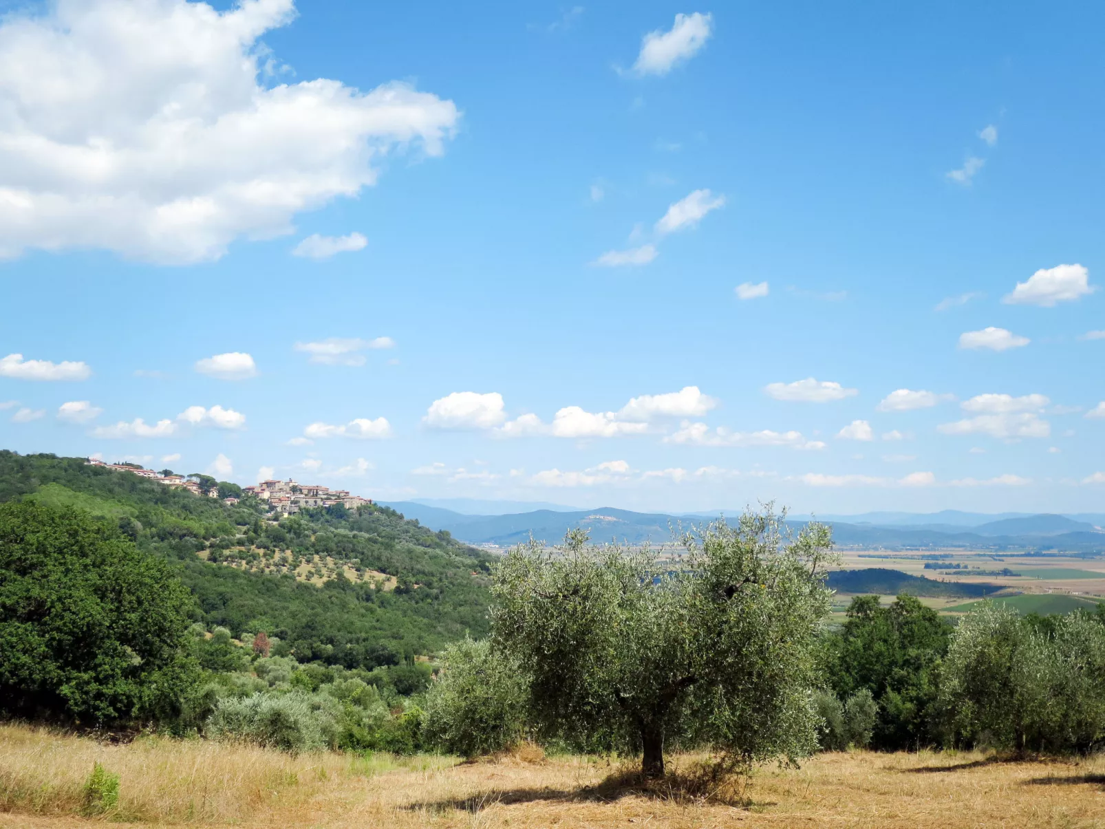 Steffi's House-Environnement