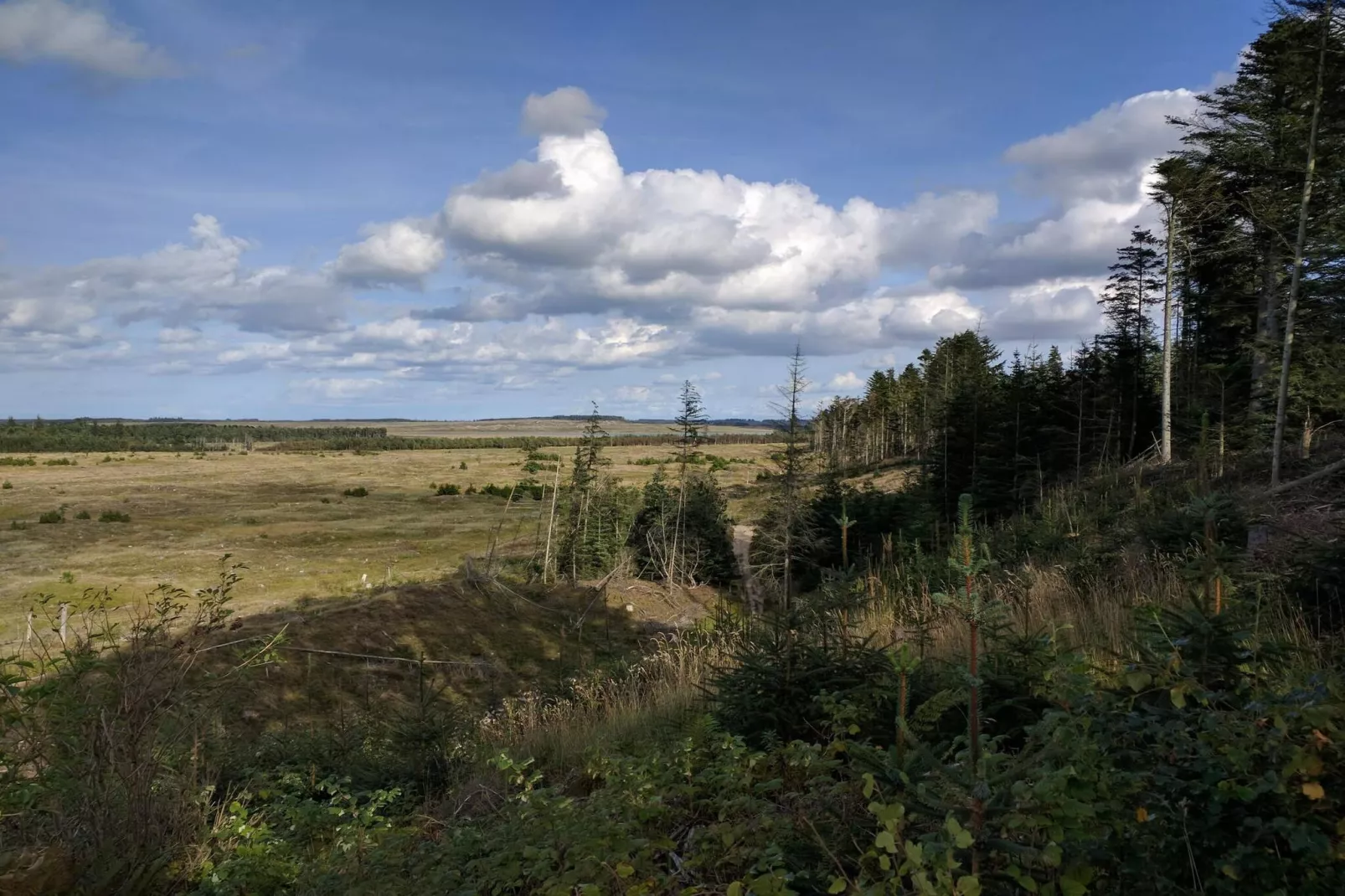 4 person holiday home in Thisted-By Traum-Untagged