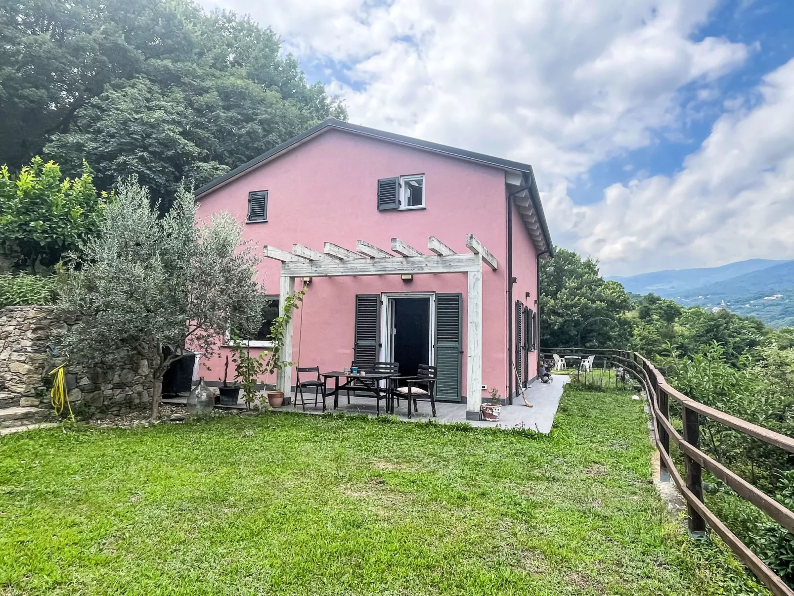 Le radici dell´ulivo