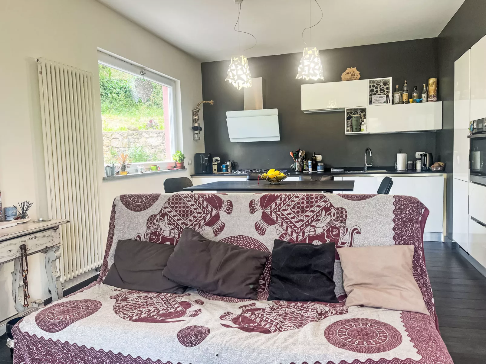 Le radici dell´ulivo