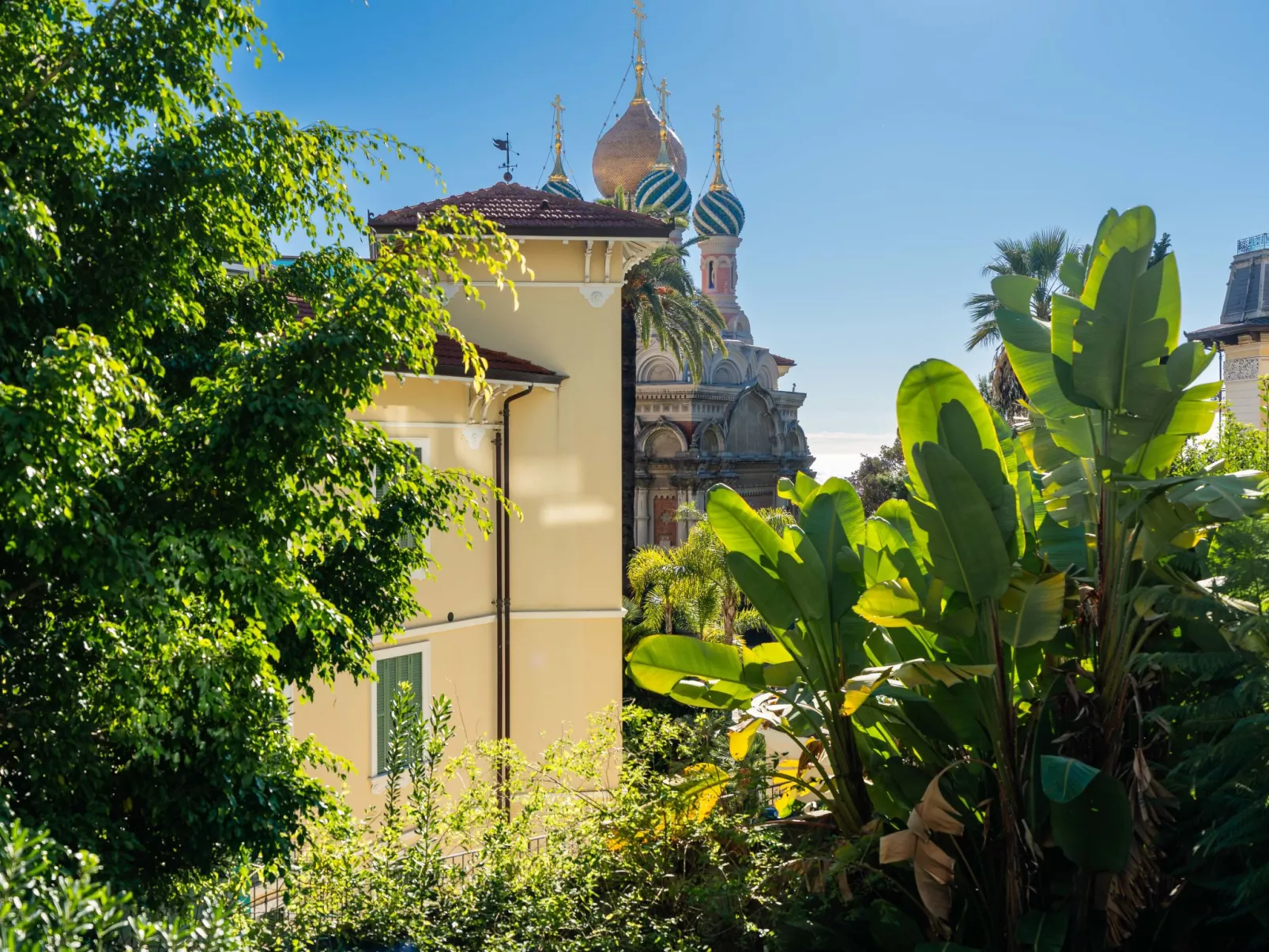 Sunshine Dreams-Dehors