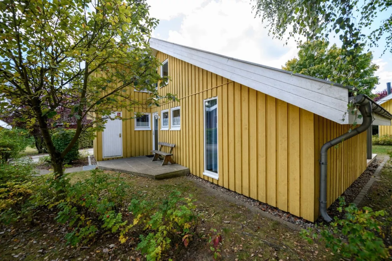 FH Wildgans Comfort Nr 204-Extérieur été