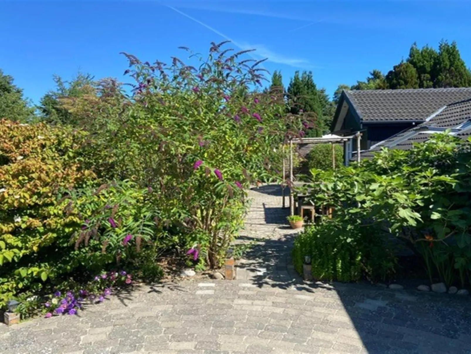 "Hughe" - 1.3km from the sea-Dehors