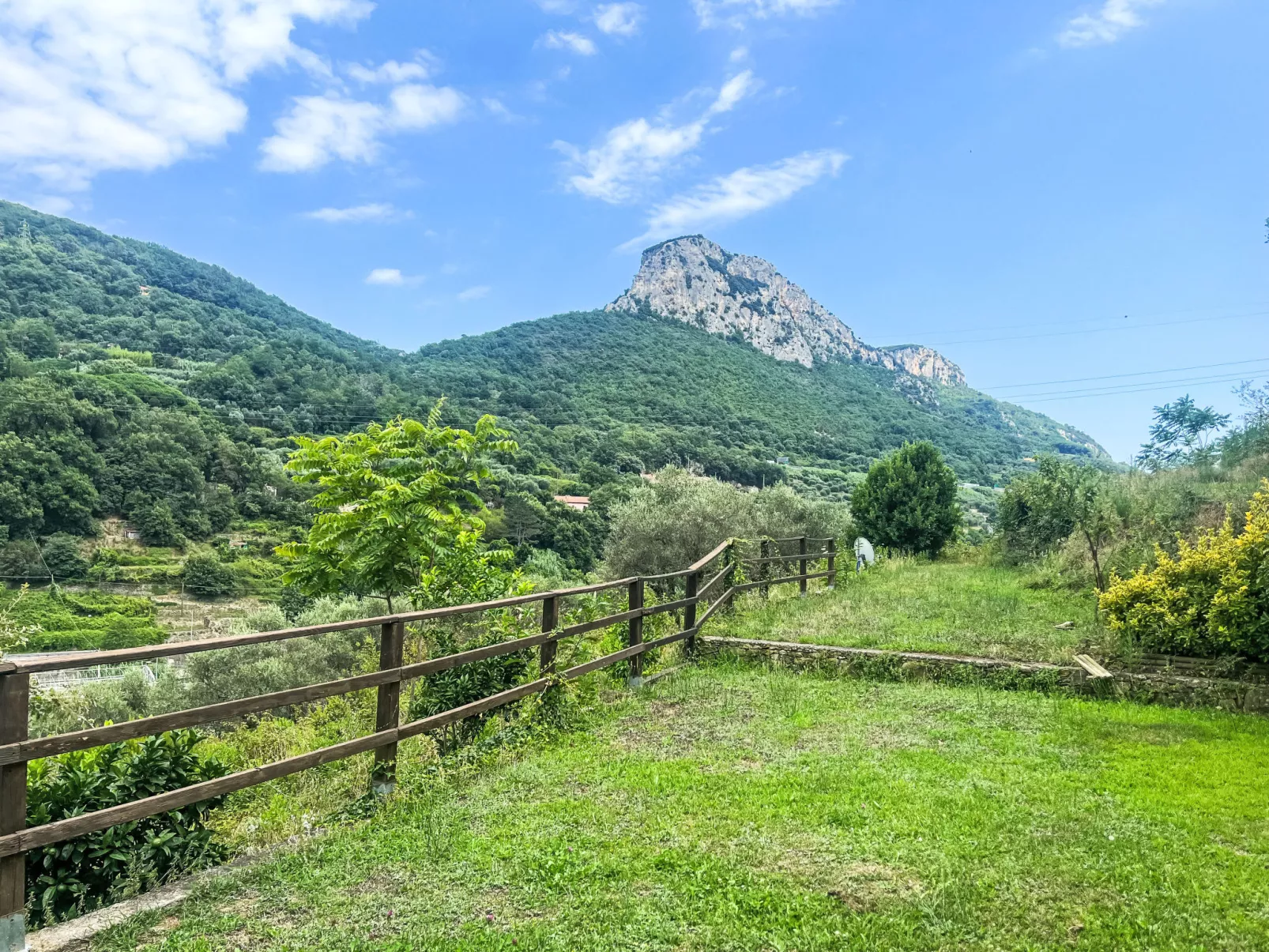 Le radici dell´ulivo-Outside