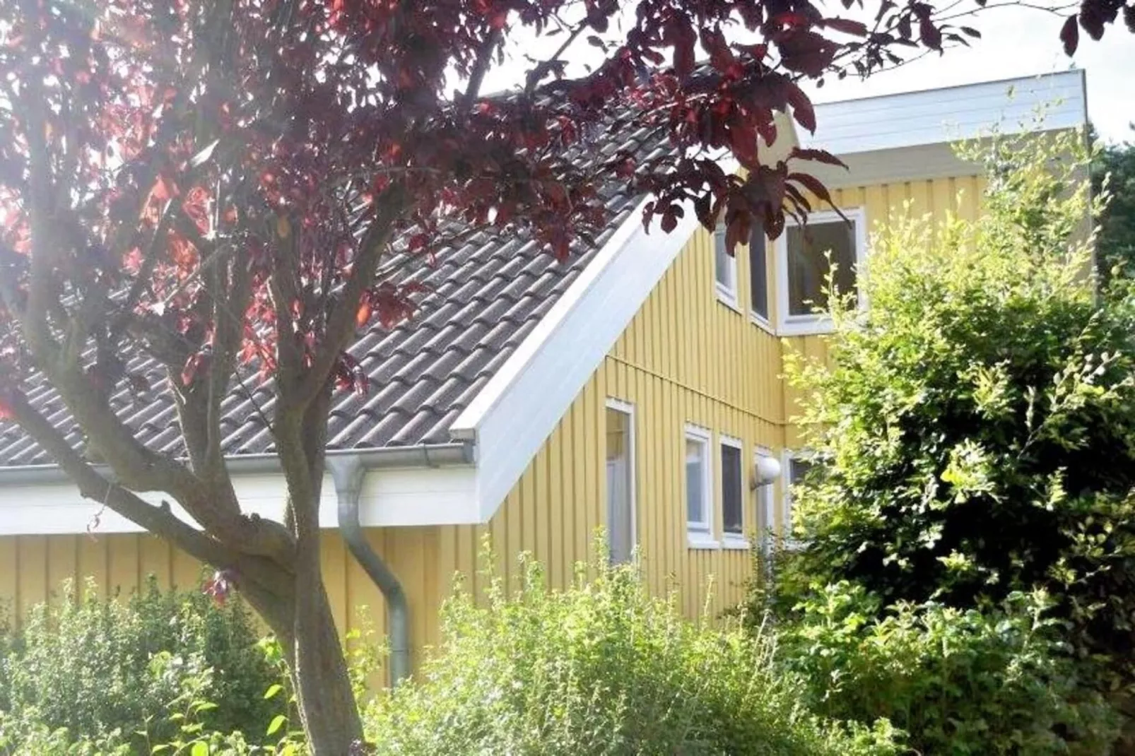 FH Wildgans Comfort Nr 201-Extérieur été