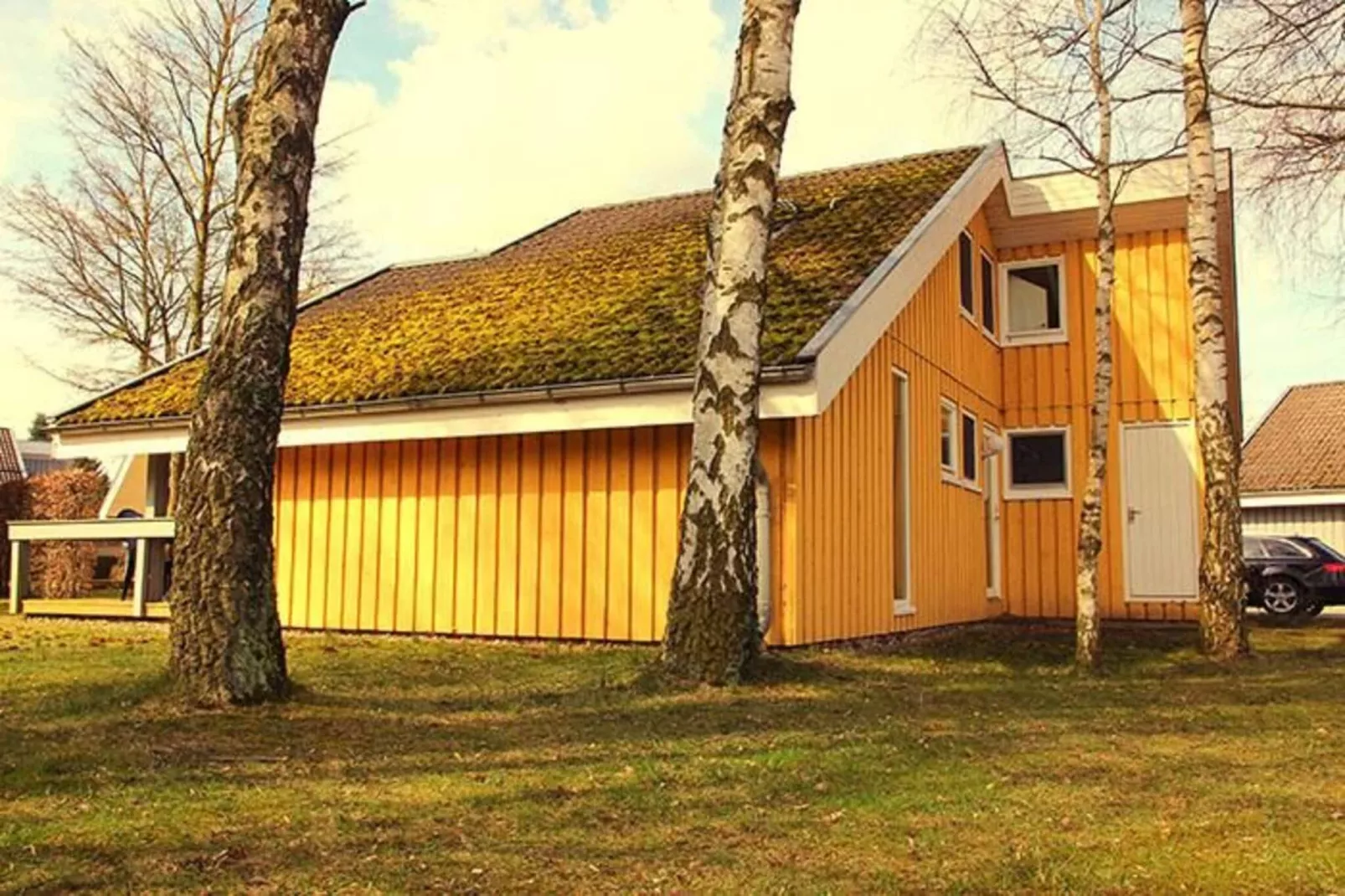 FH Wildgans Comfort Nr 280-Extérieur été