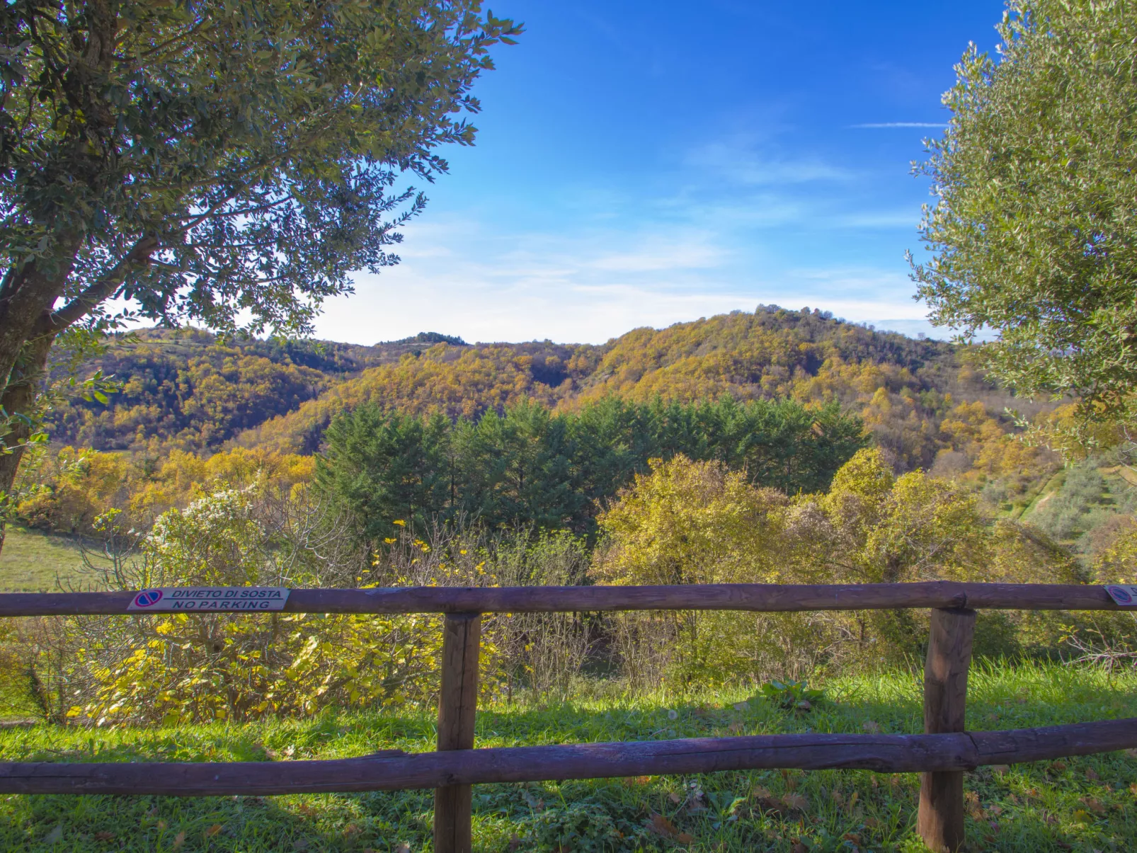Il Frassino del Borgo di Ghiora-Outside