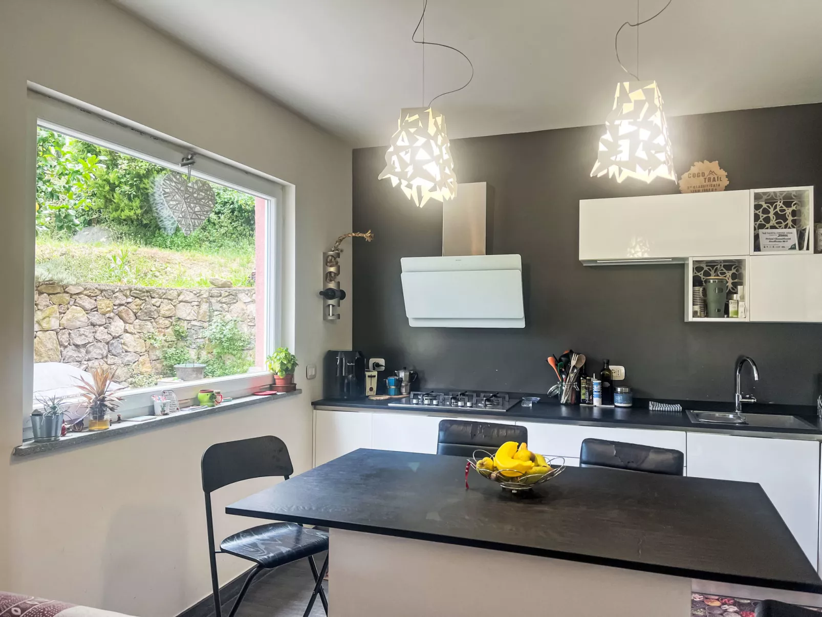 Le radici dell´ulivo-Inside