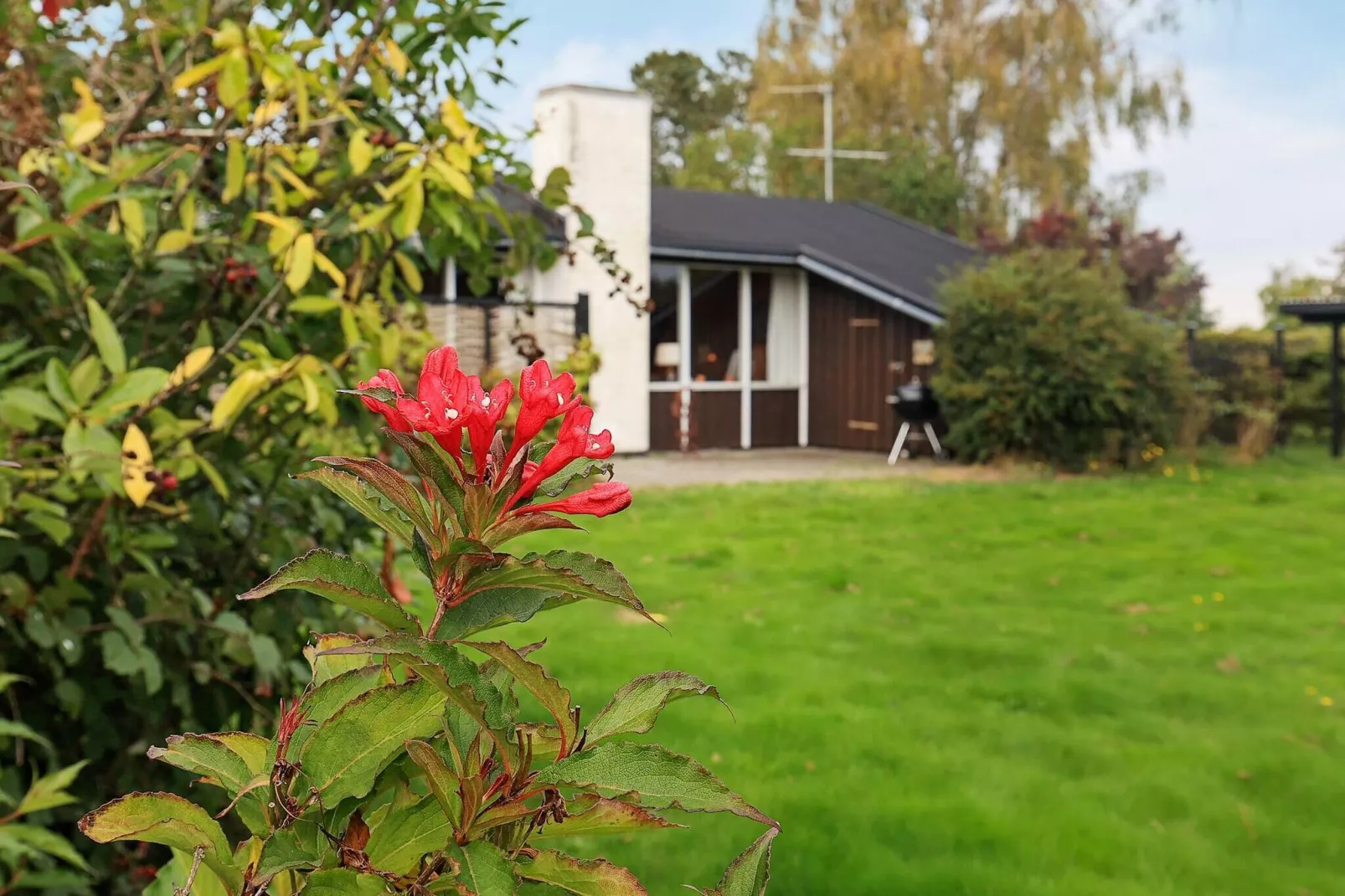 4 person holiday home in Frørup-By Traum-View