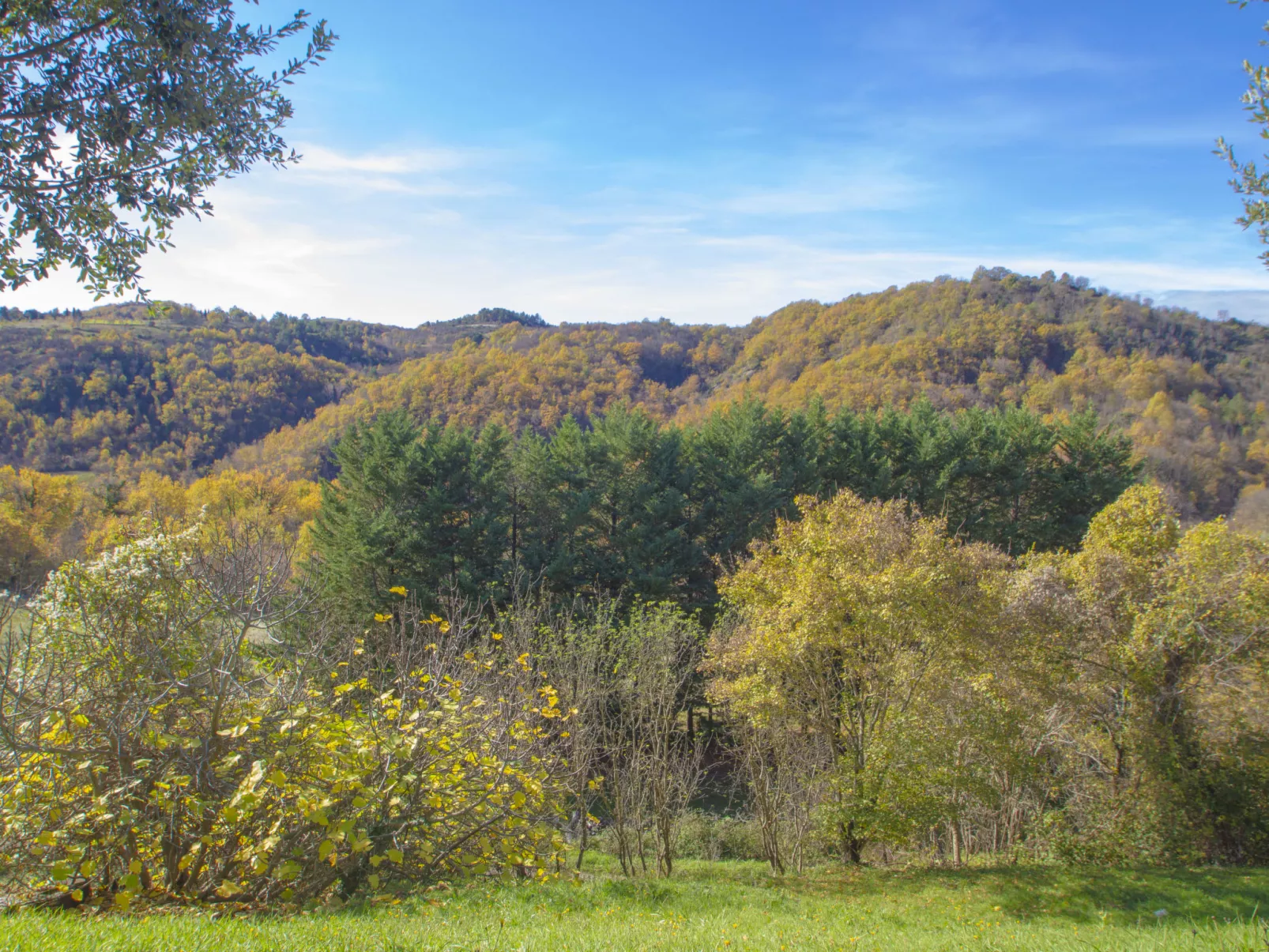 Il Frassino del Borgo di Ghiora-Outside