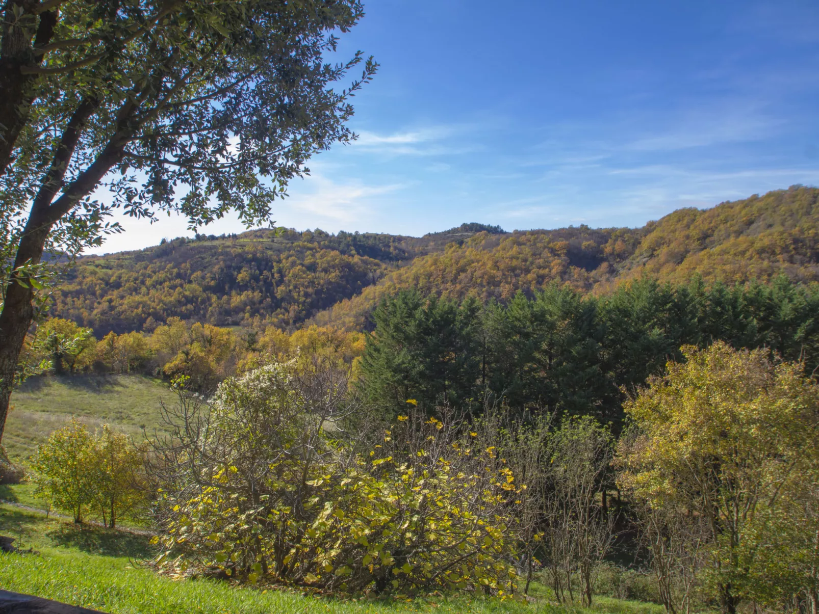 Il Frassino del Borgo di Ghiora-Outside