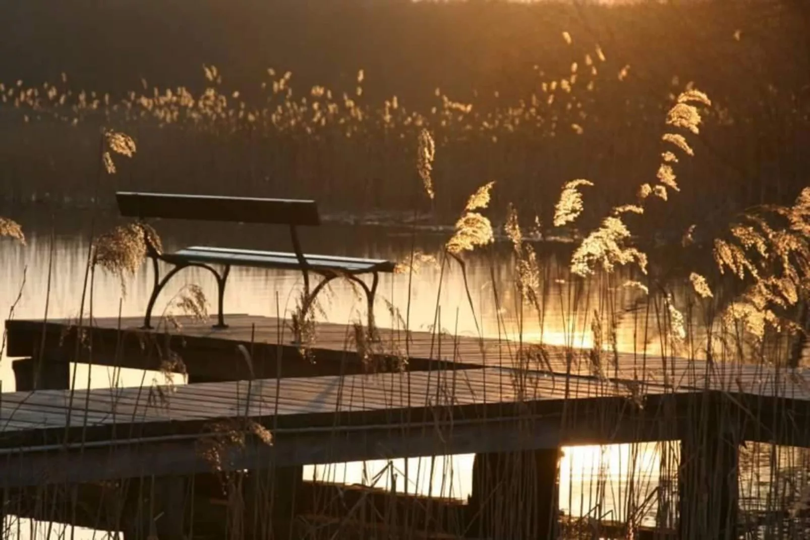 FH Wildgans Comfort Nr 28-Gebiete Sommer 1 km