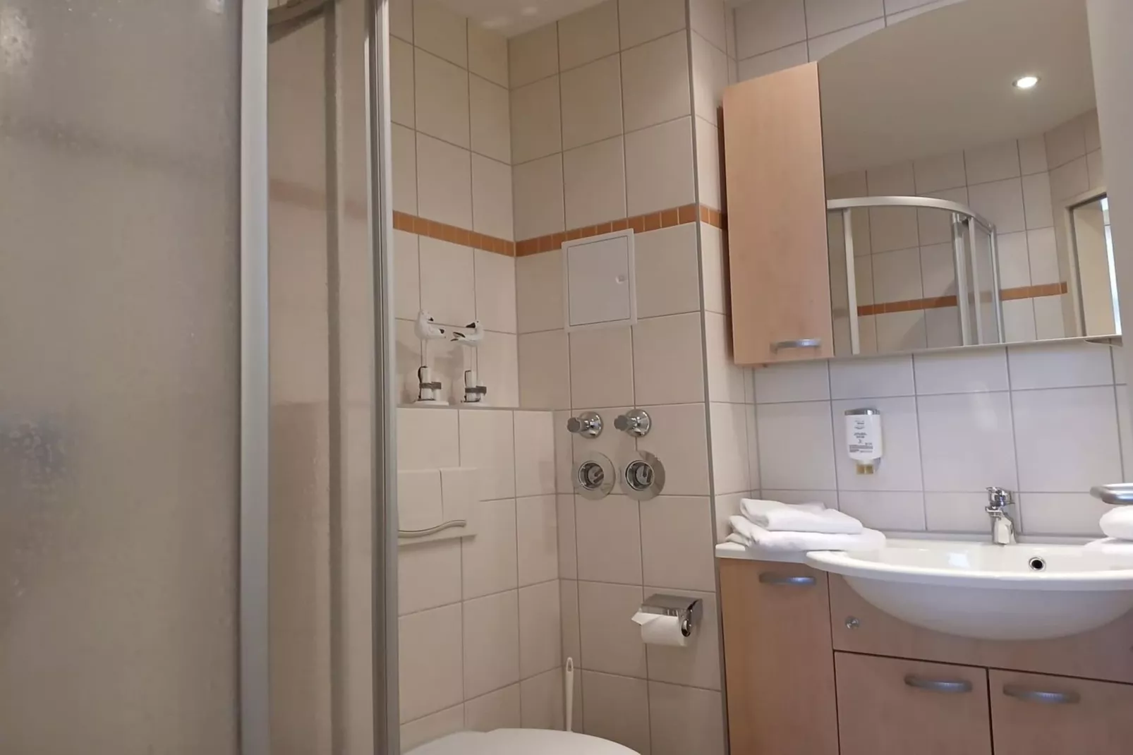 Schneeeule 219-Bathroom