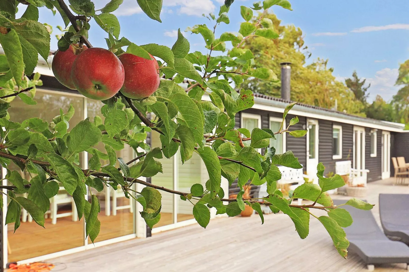 4 Sterne Ferienhaus in Stege-By Traum