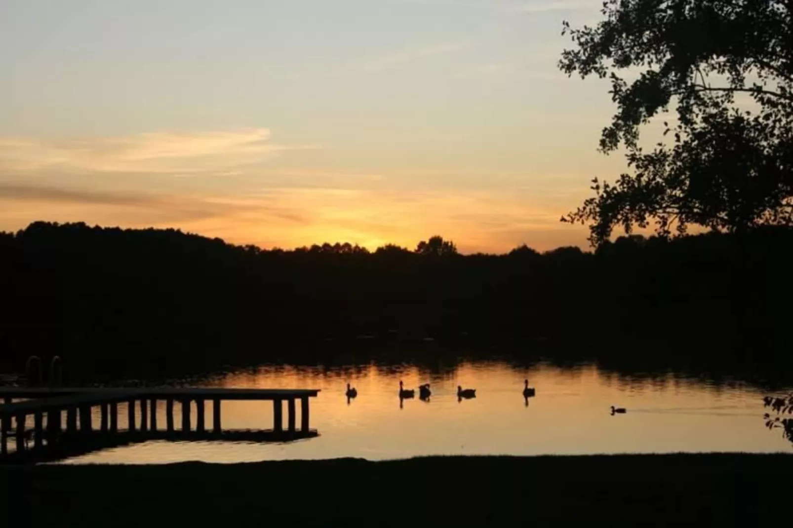 FH Wildgans Comfort Nr 28-Gebiete Sommer 5 km