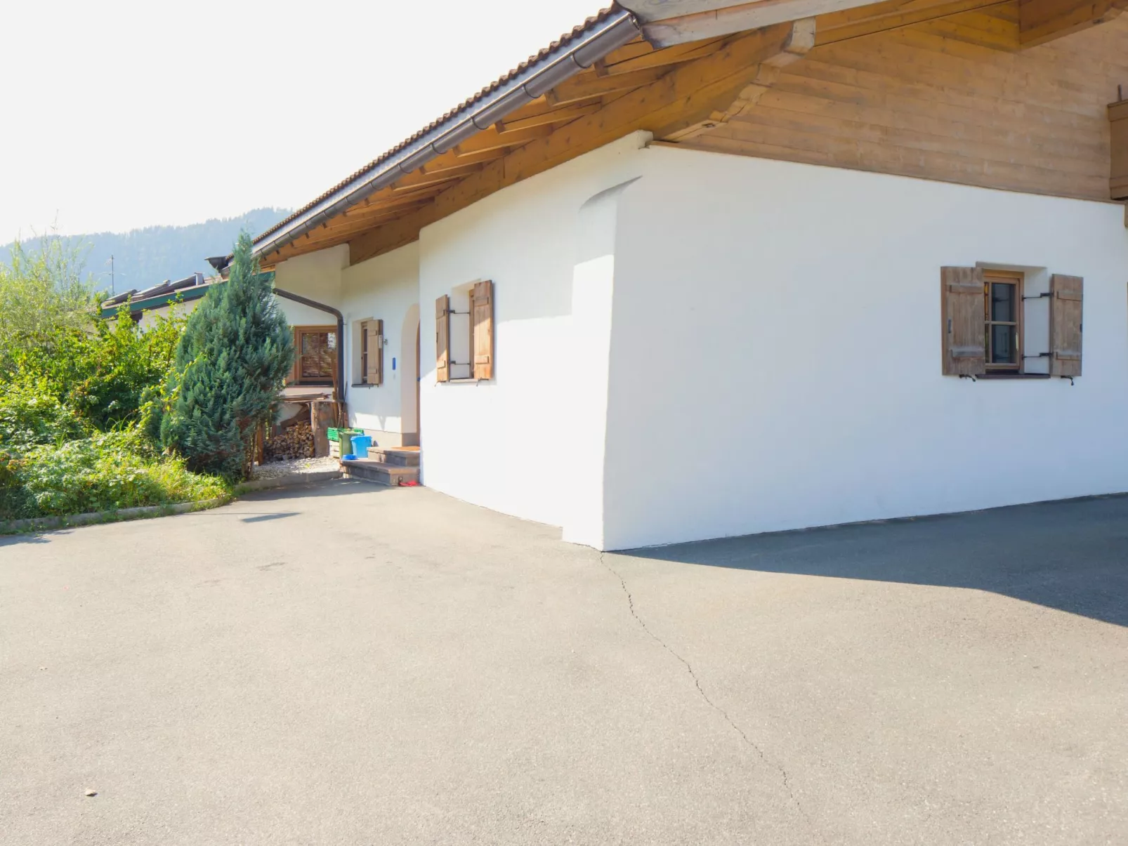 Blauer Elefant-Dehors