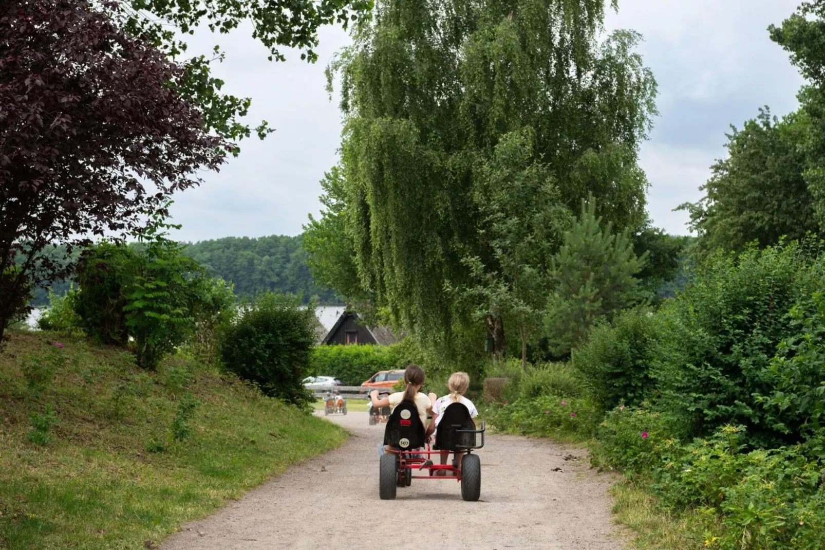 Schneeeule 202-Areas within 5km in summer