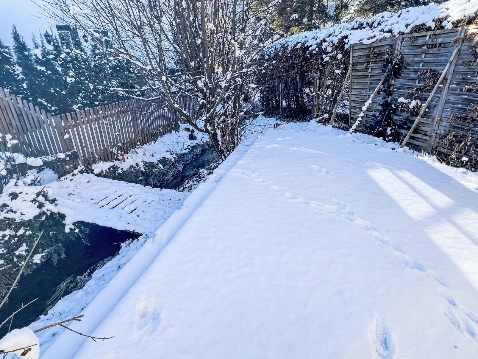 Blauer Elefant-Dehors