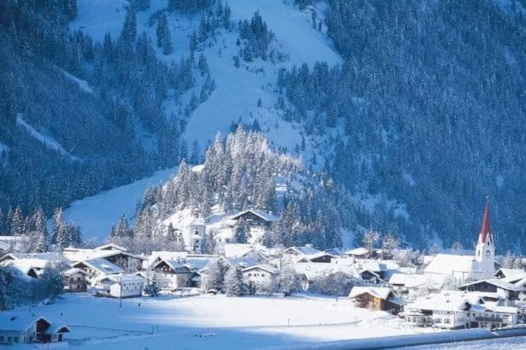 Haus Bergwald TOP 2-Area winter 1km