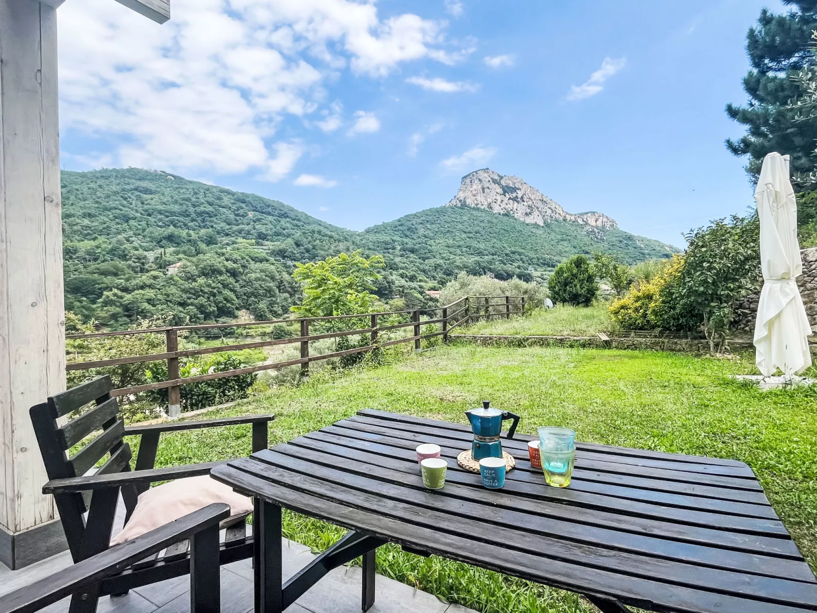 Le radici dell´ulivo-Outside