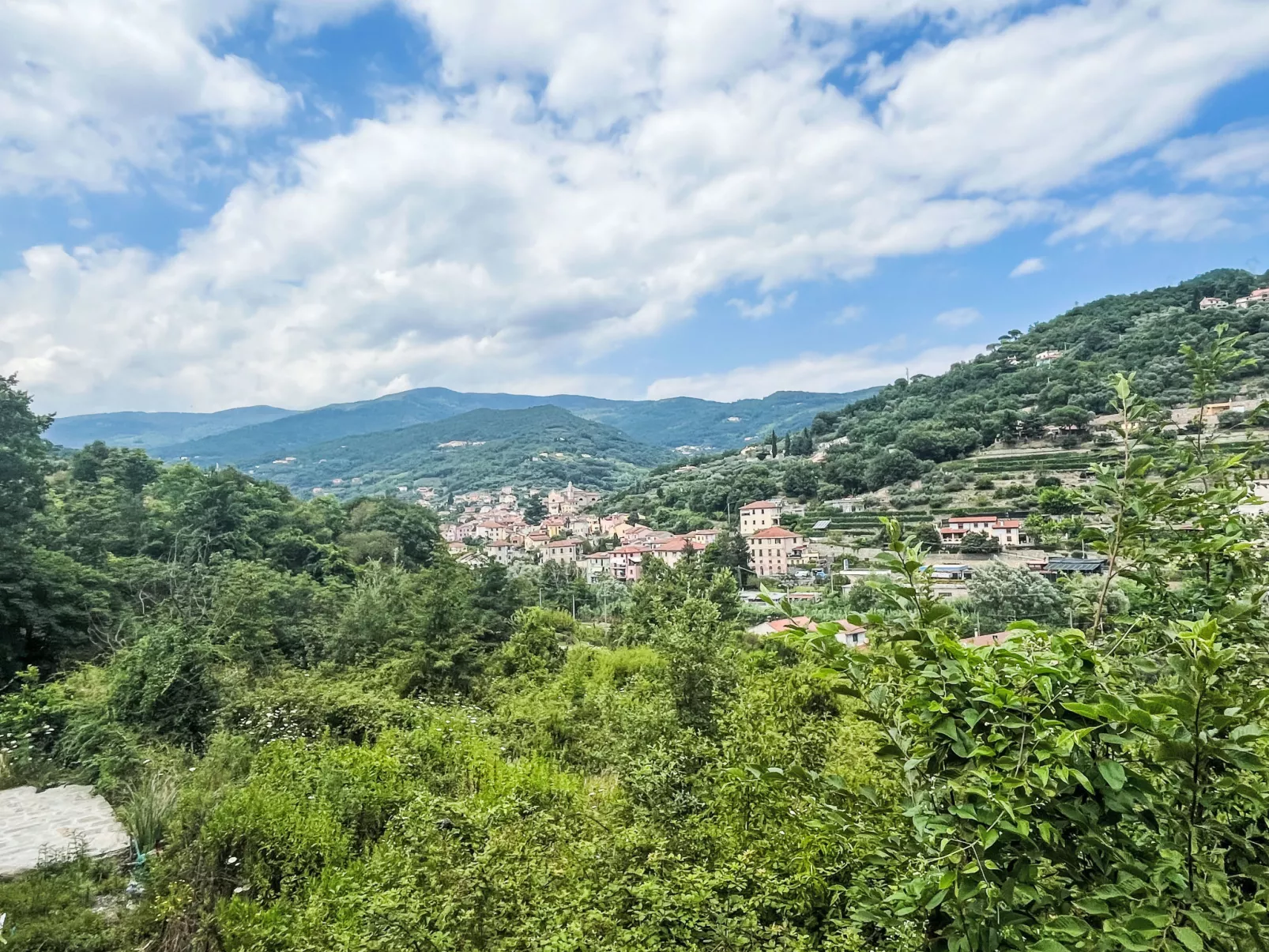 Le radici dell´ulivo-Outside