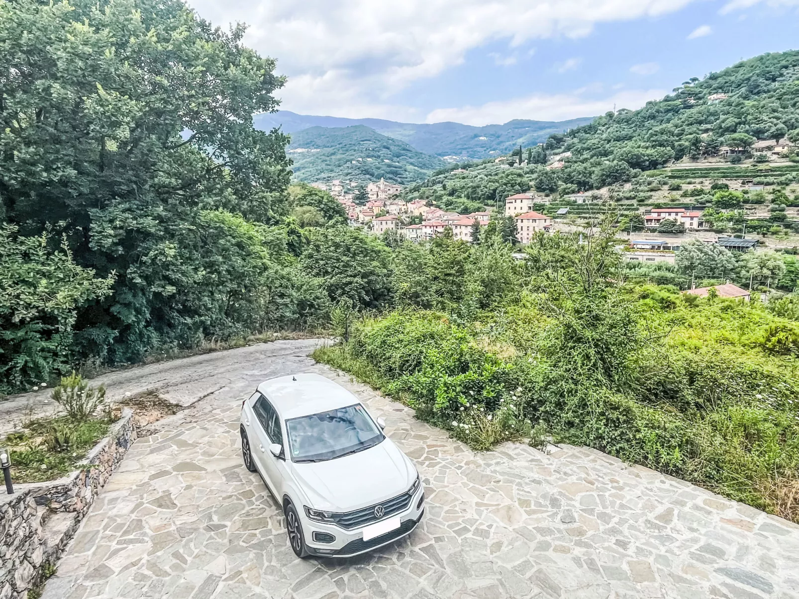 Le radici dell´ulivo-Outside