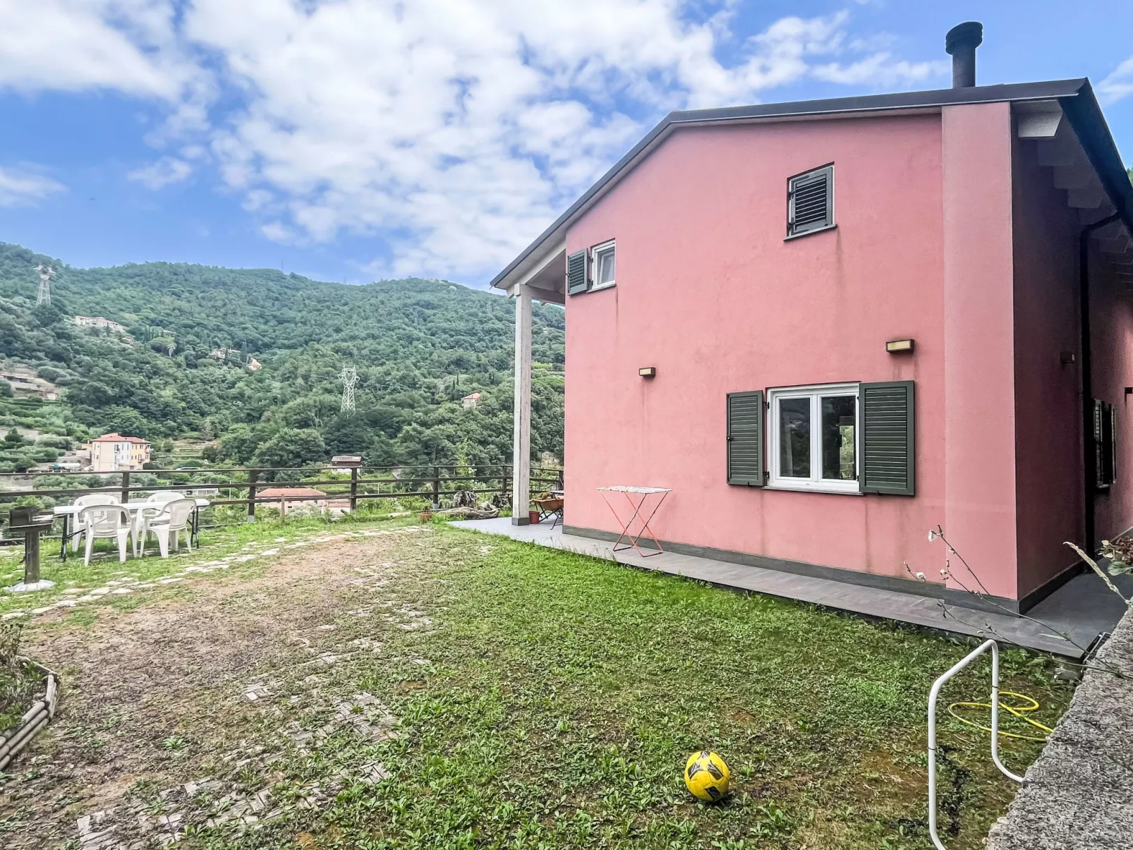 Le radici dell´ulivo-Outside