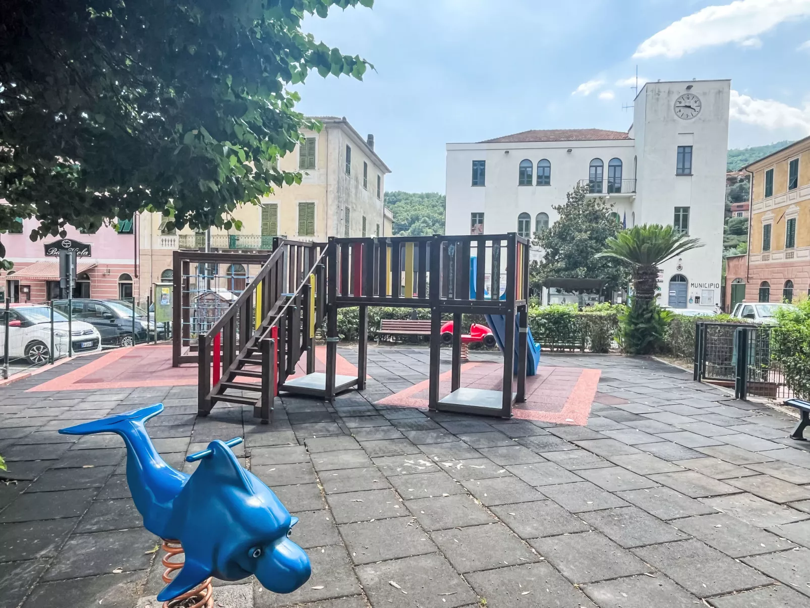 Le radici dell´ulivo-Area