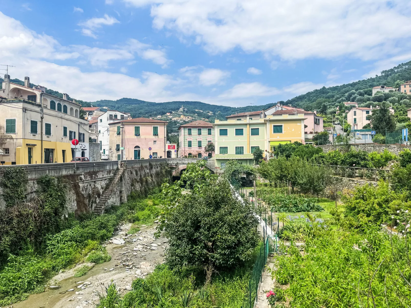 Le radici dell´ulivo-Area