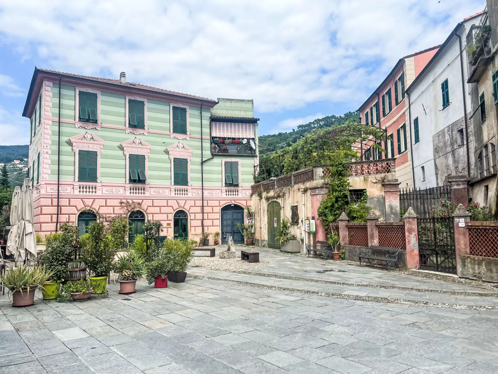 Le radici dell´ulivo-Area