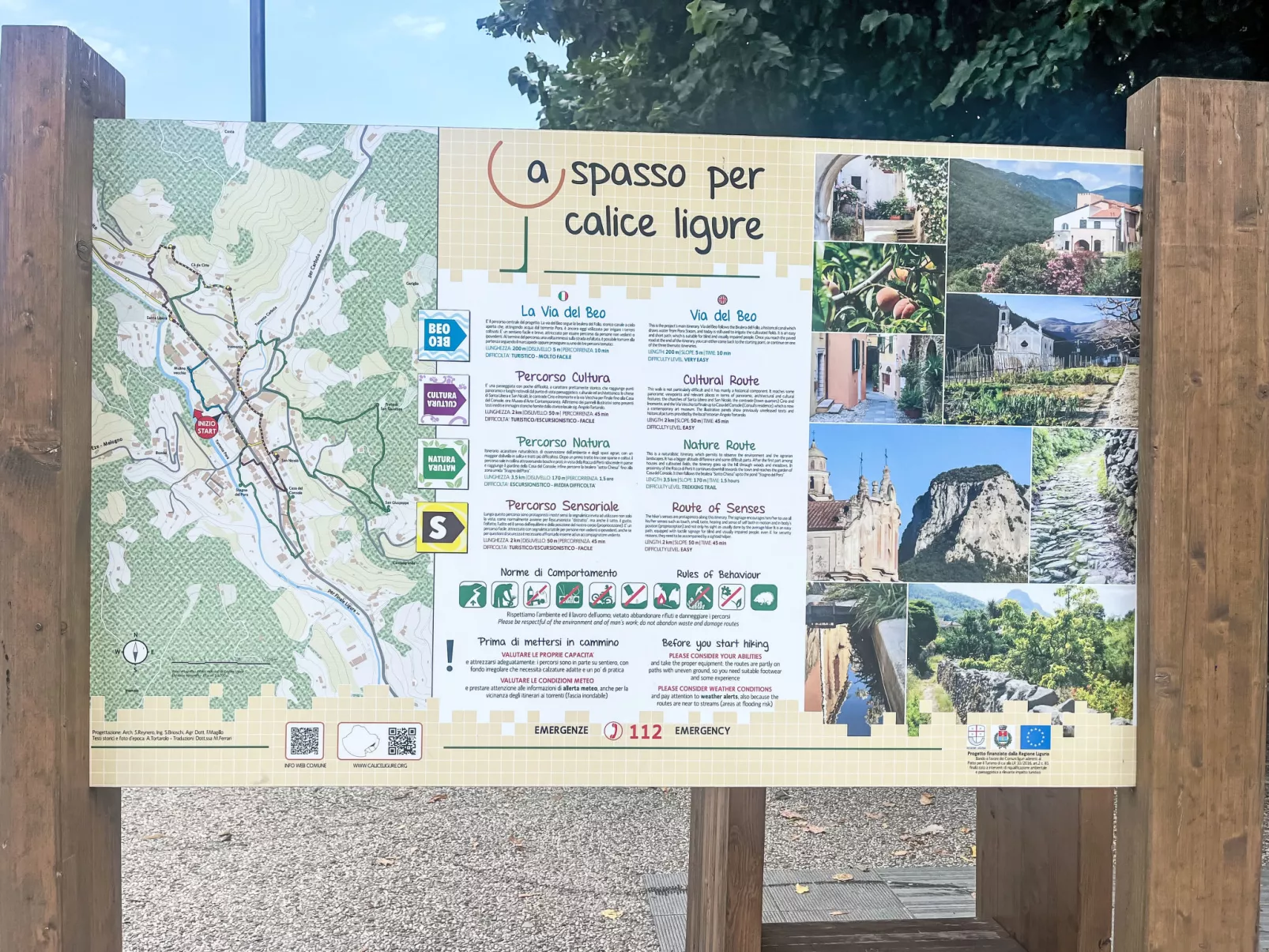 Le radici dell´ulivo-Area