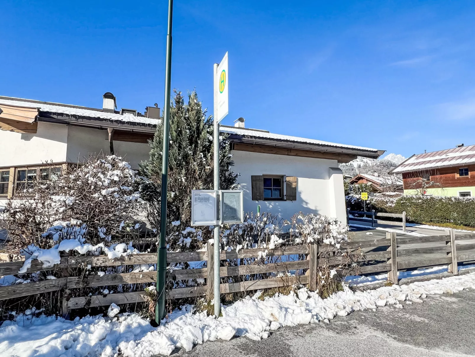 Blauer Elefant-Dehors