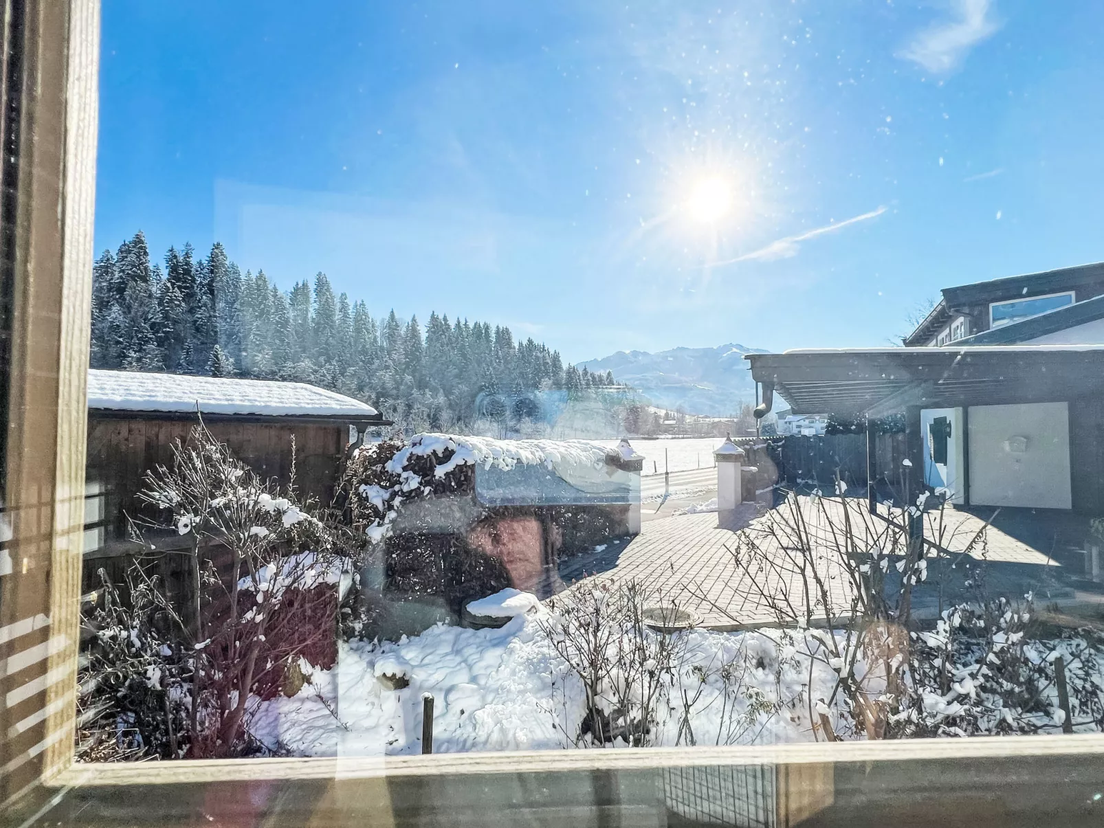 Blauer Elefant-Dehors