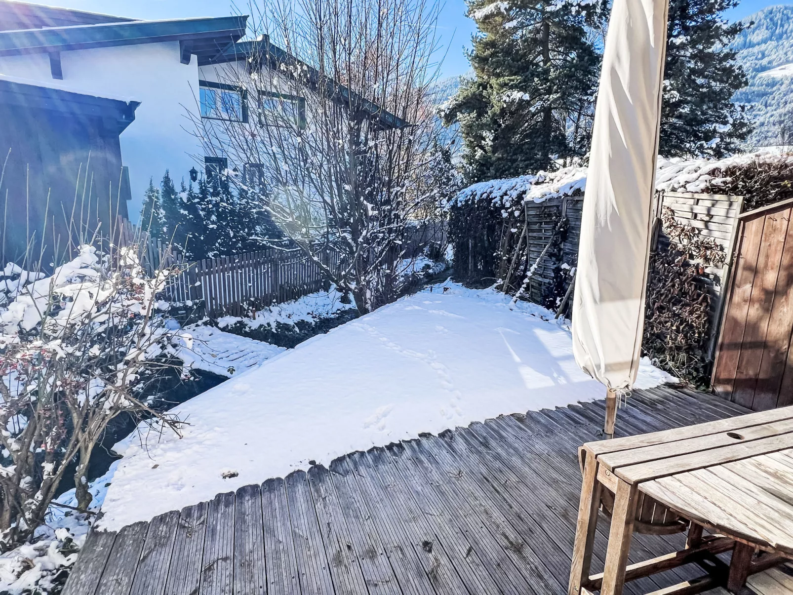 Blauer Elefant-Dehors