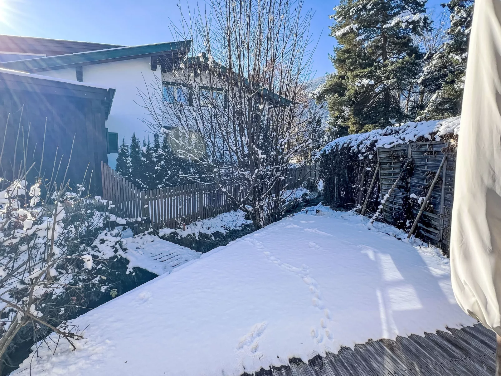 Blauer Elefant-Dehors