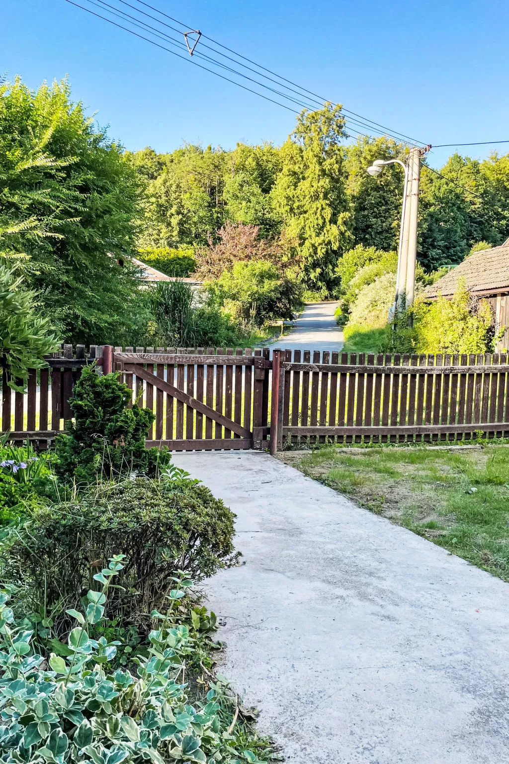 Forrest Haven Vodice