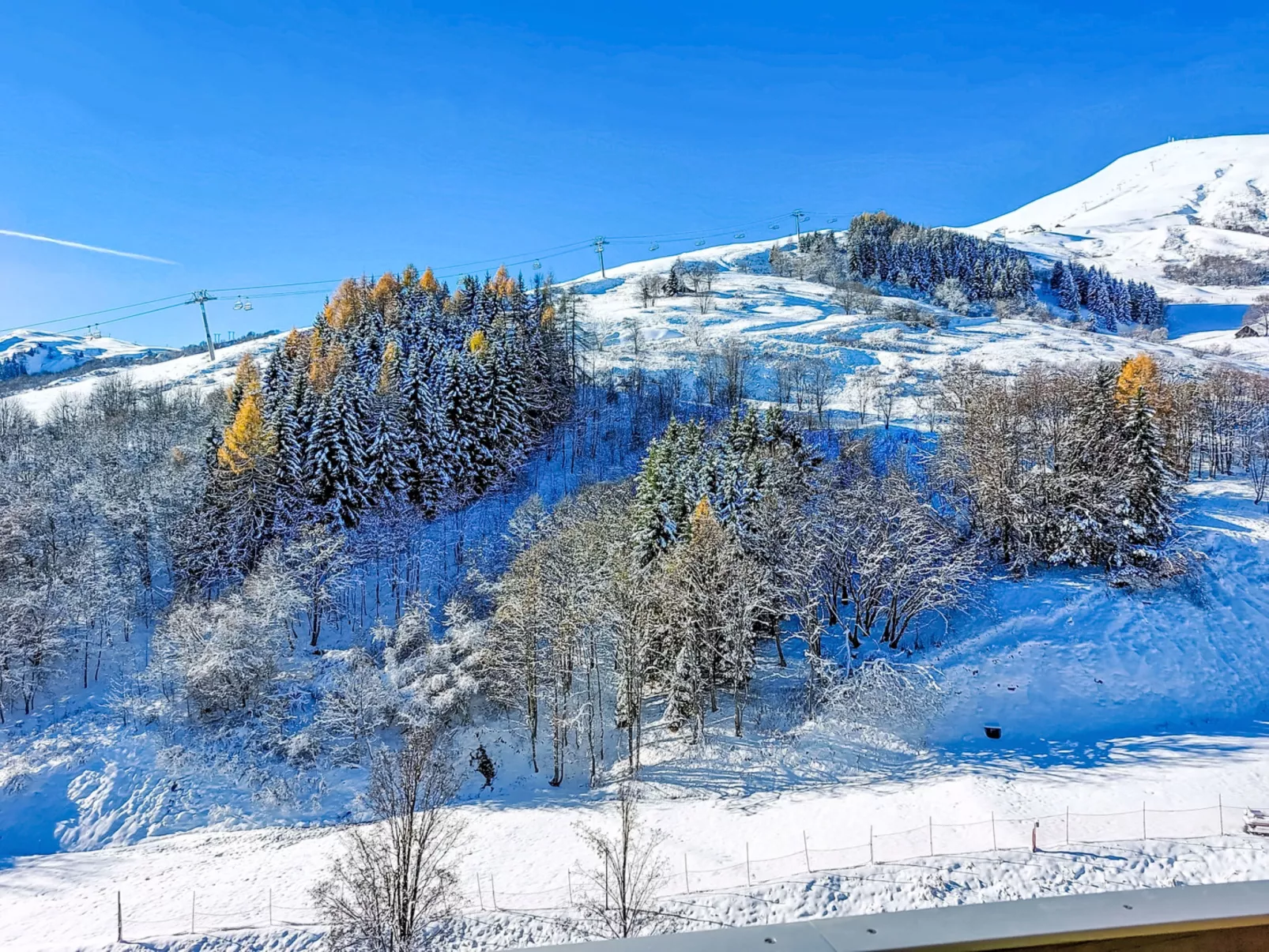 Vostok Zodiaque-Dehors