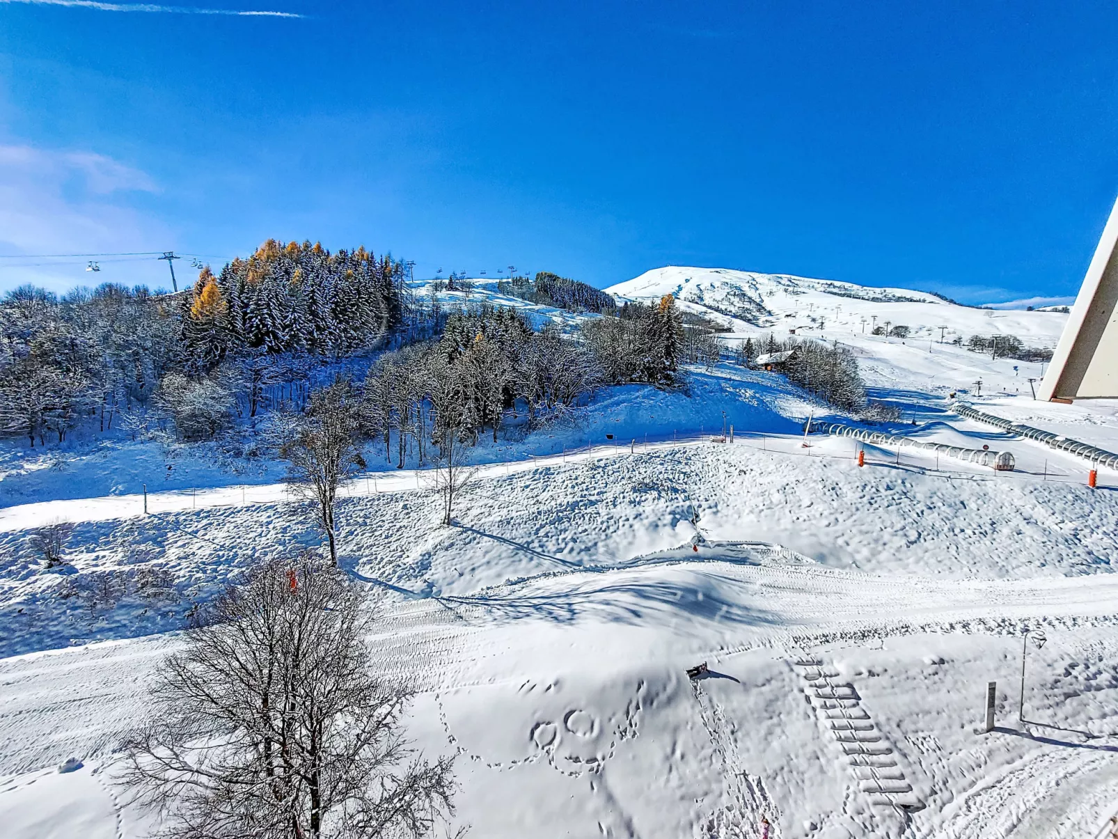 Vostok Zodiaque-Outside