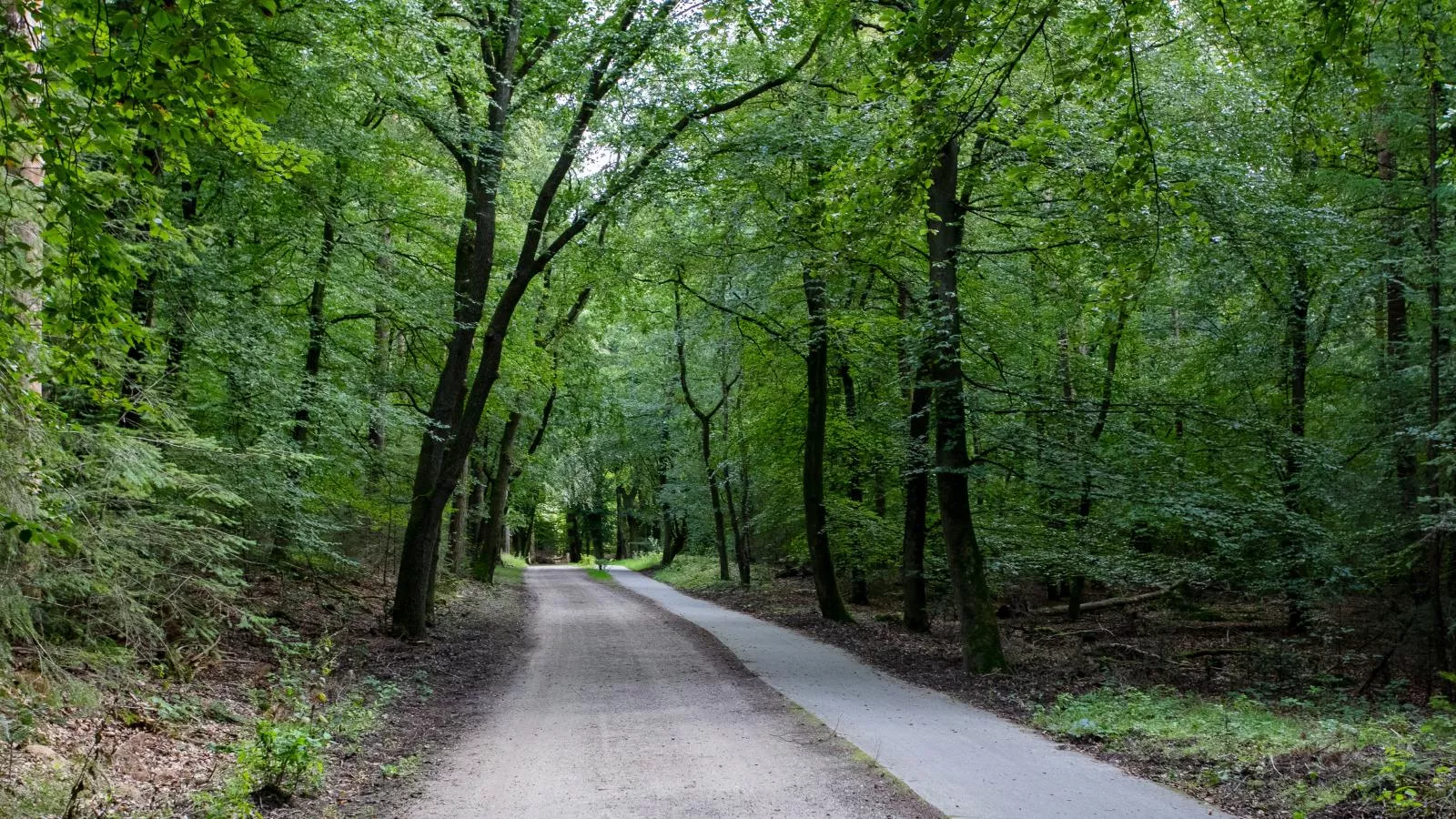De Tortelduif-Areas summer 1km