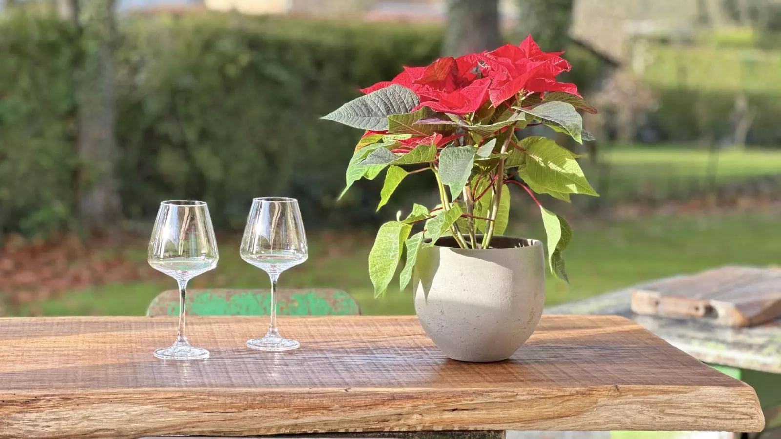 Chez Brigitte-Terrace balcony