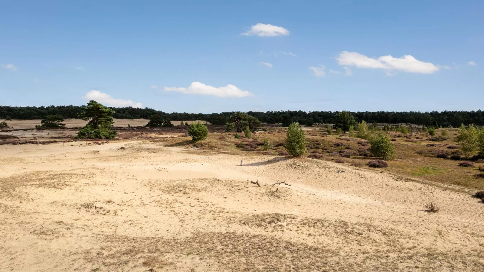 De Tortelduif-Areas summer 5km