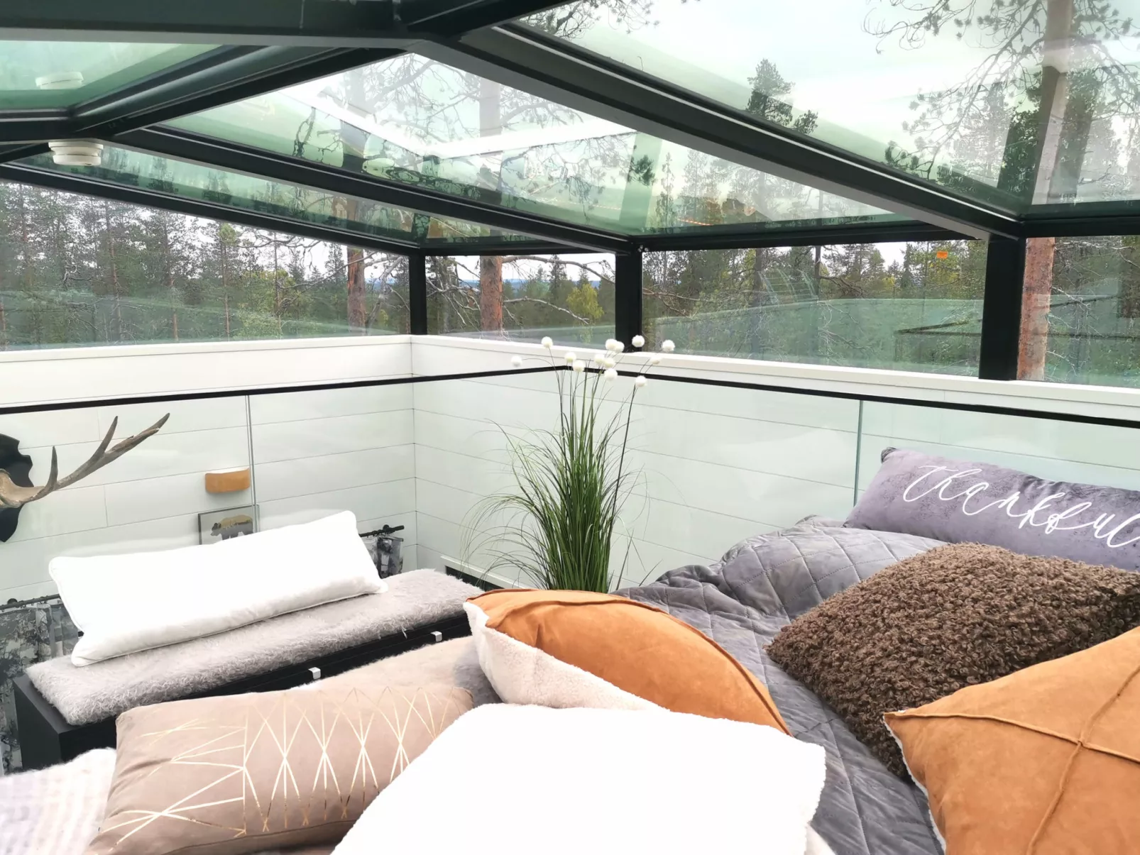 Levi secret igloo ruska 8d-Dedans