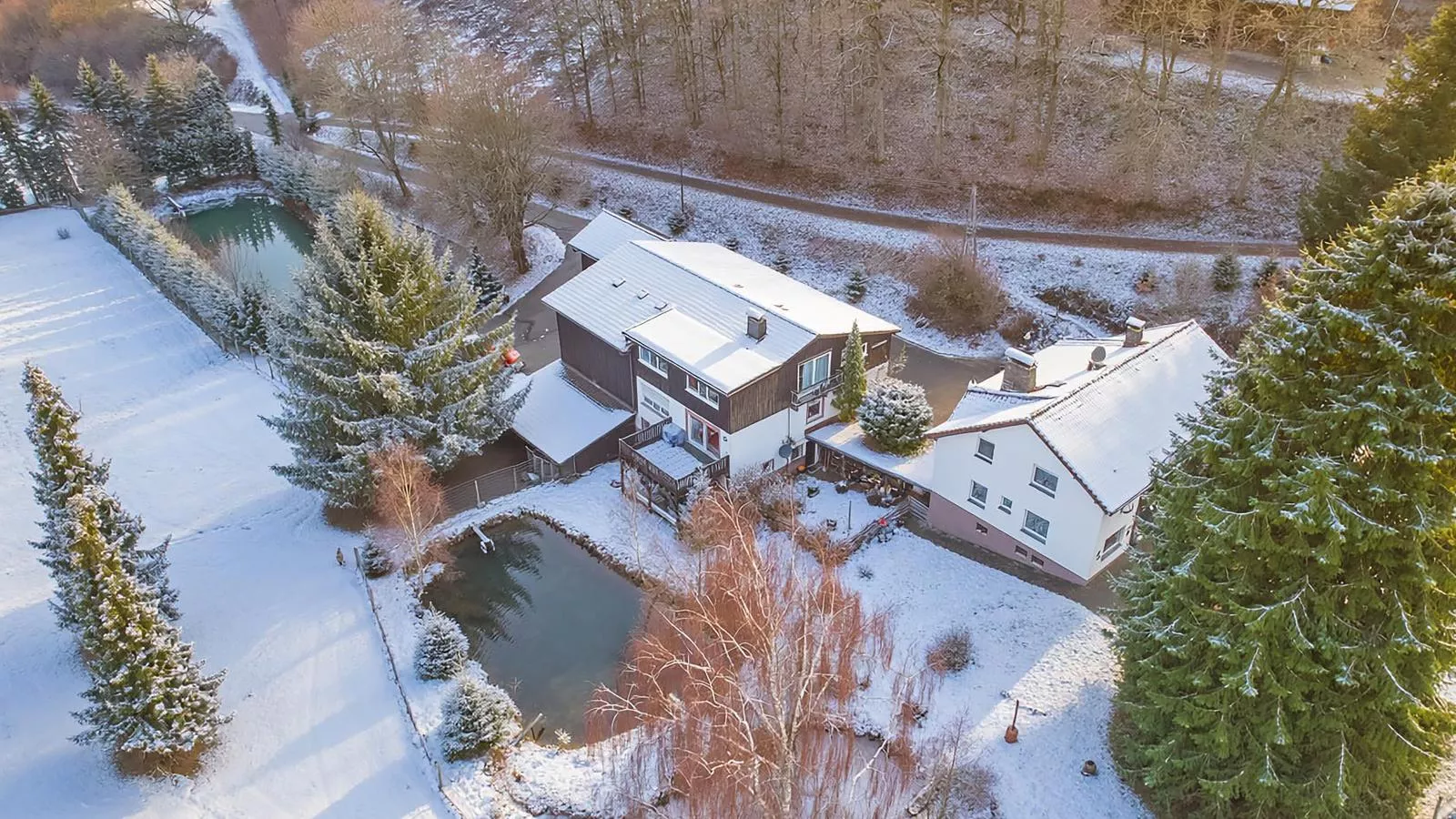 Am Damwildgehege I-Extérieur hiver