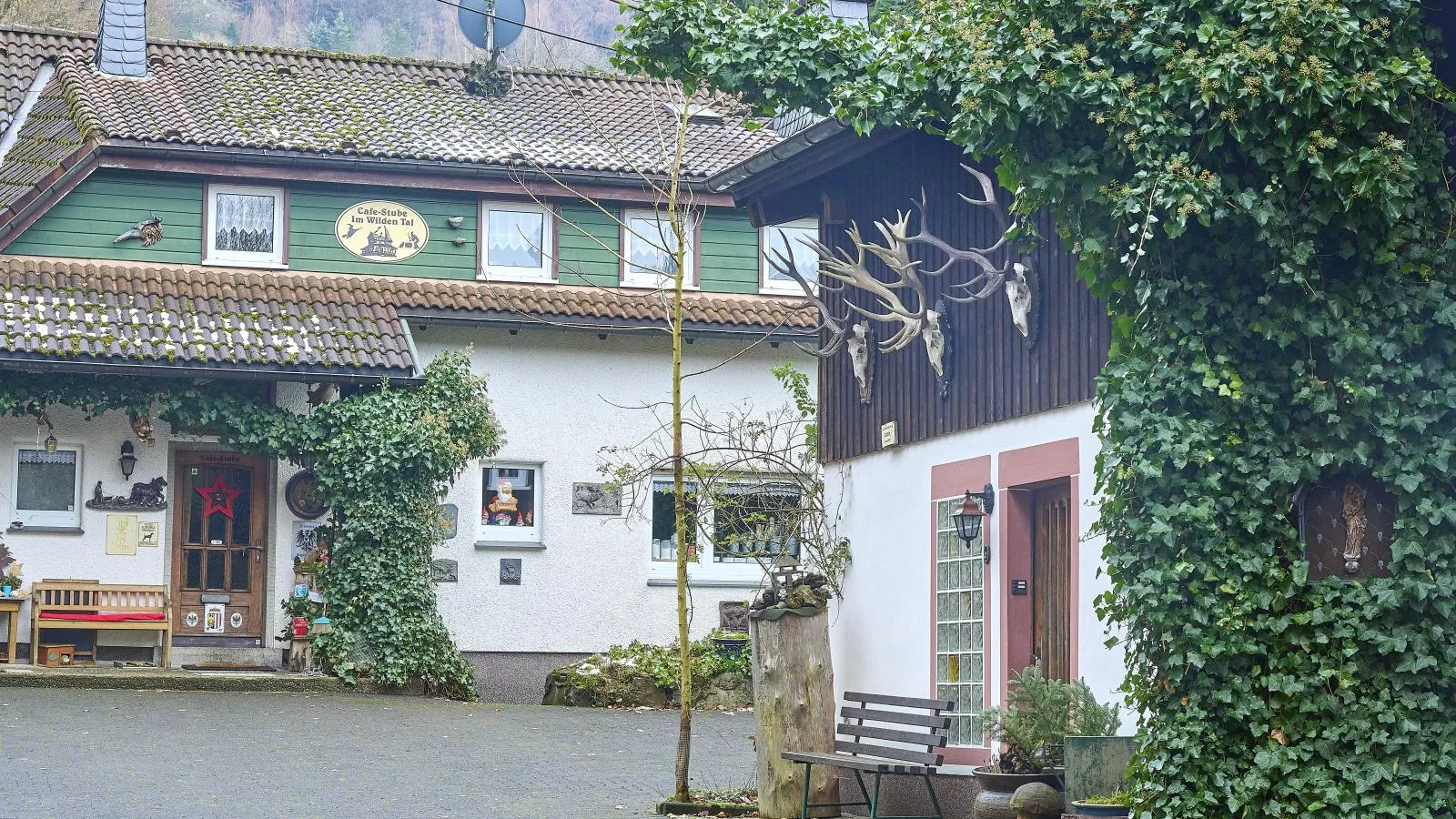 Am Damwildgehege I-Extérieur hiver