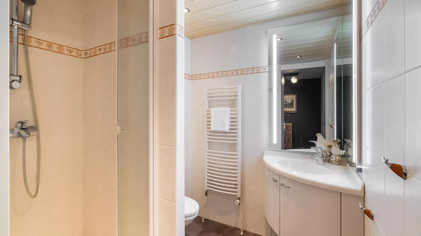 De Brouwersdam-Salle de bain