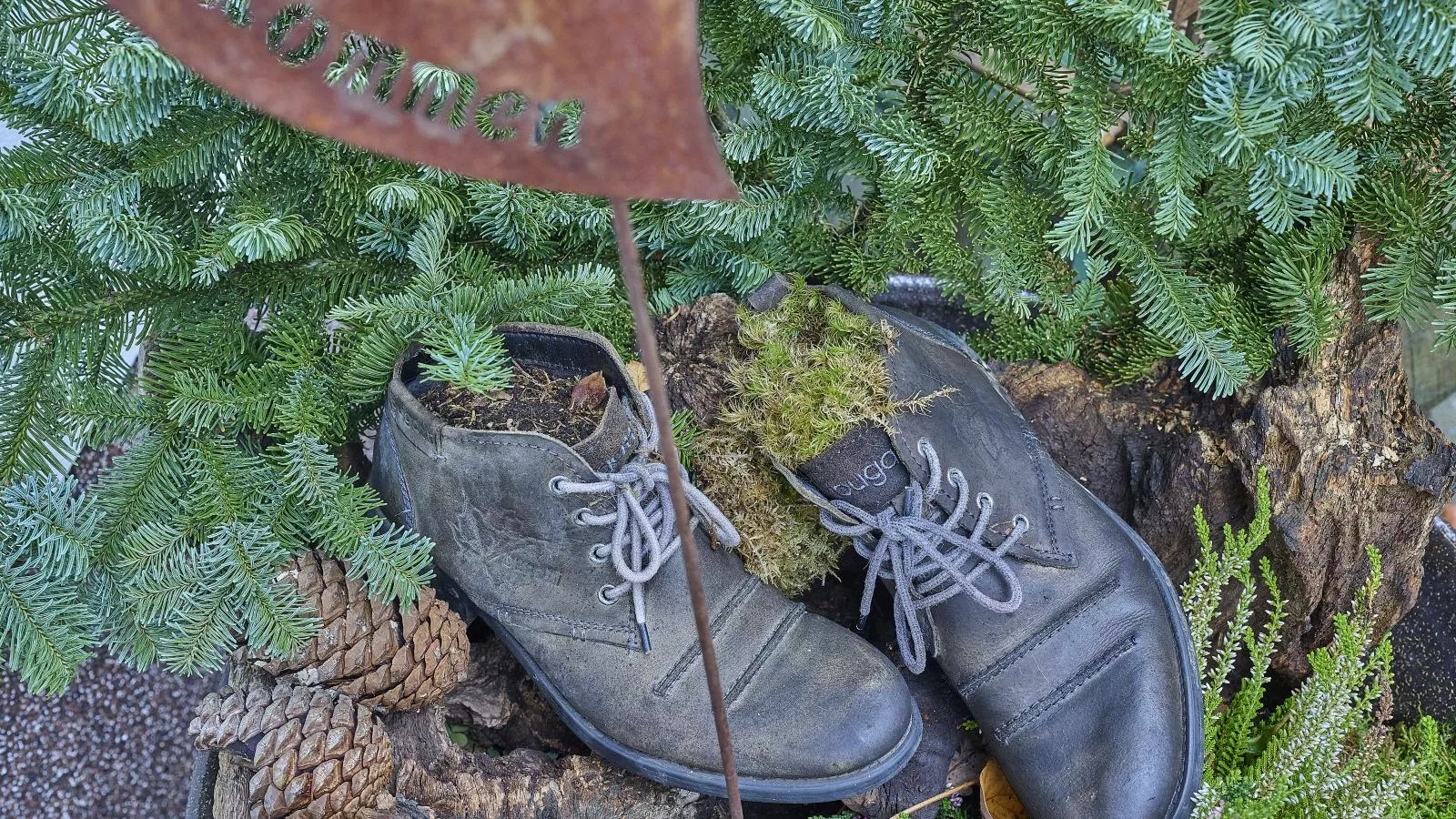 Am Damwildgehege I-Ambiance