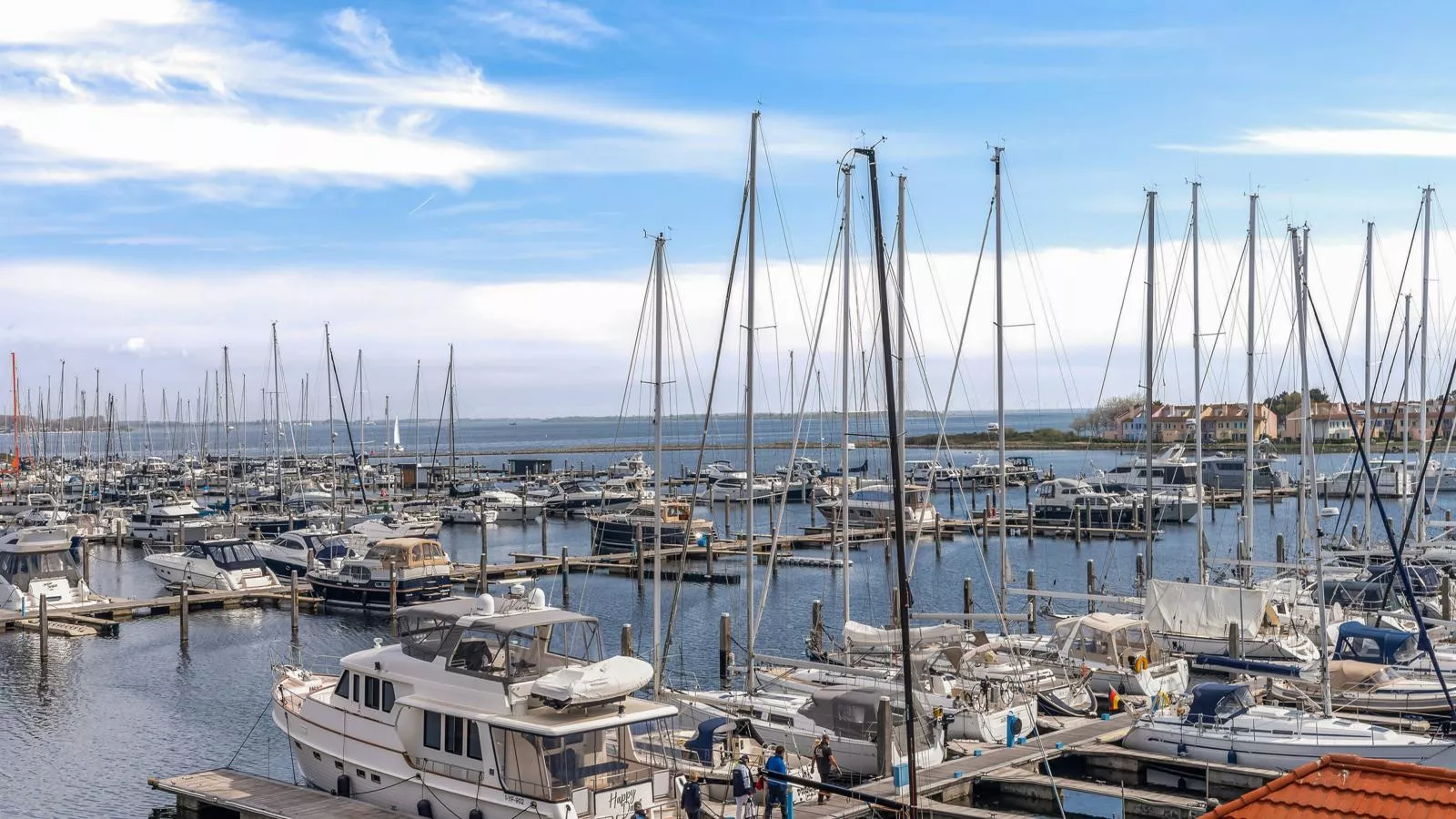 De Brouwersdam-Zones été à 1 km