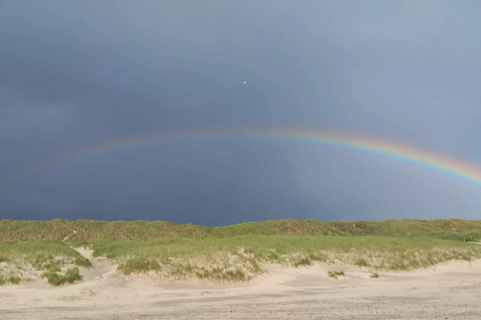 6 person holiday home in Hvide Sande